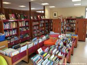 Albums et romans jeunesse